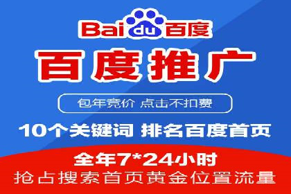 SEM搜索引擎优化策略解析与应用案例